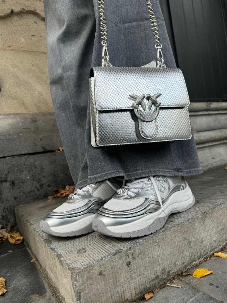  ZZFS ZILVER