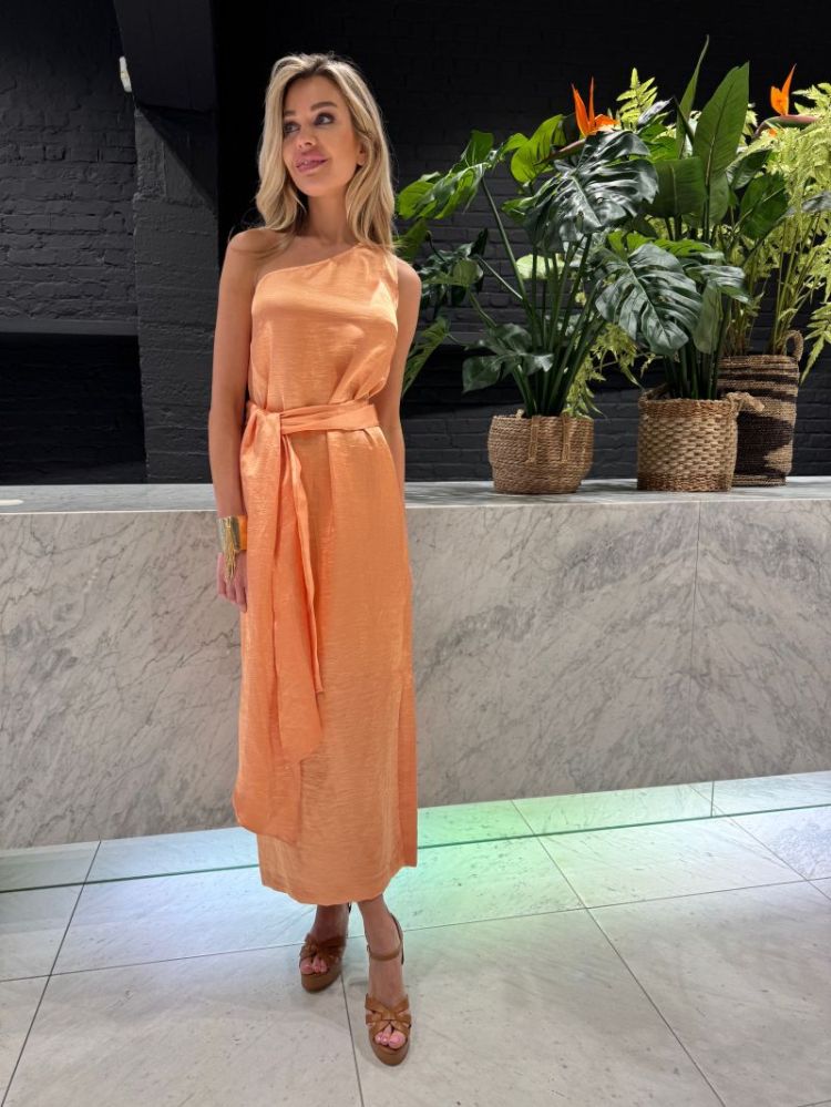  APRICOT