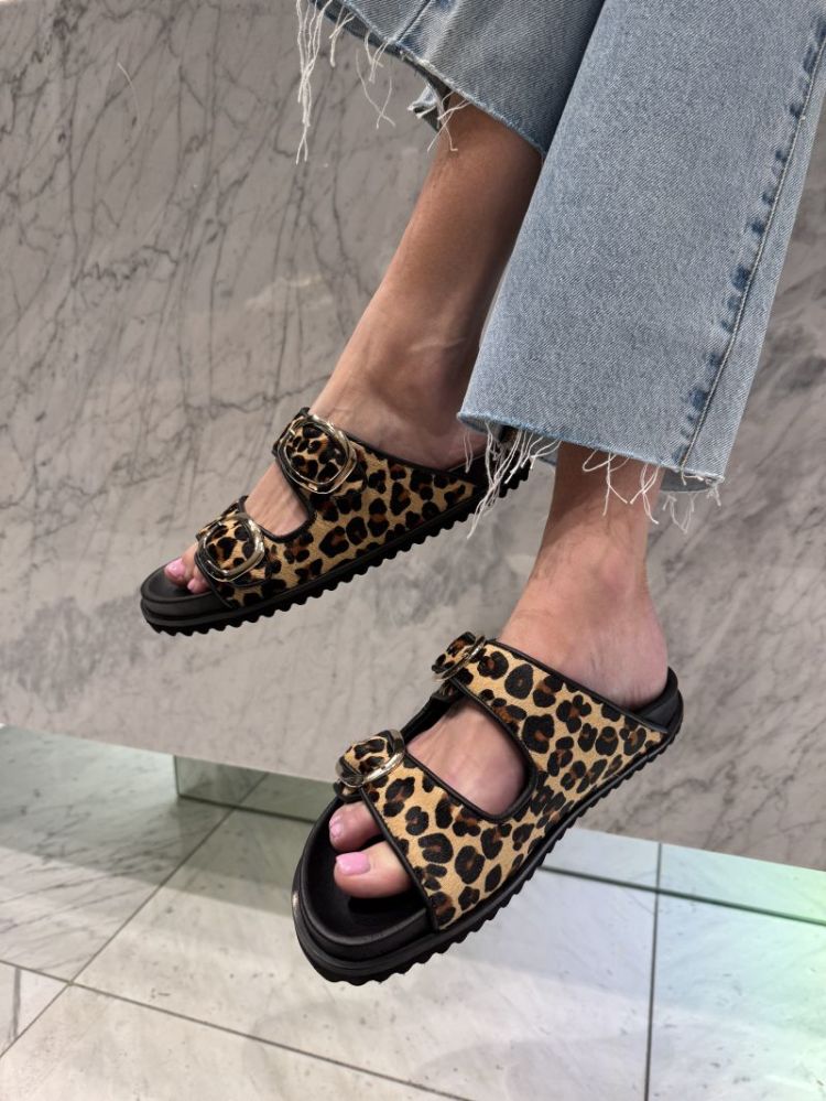  LEOPARD