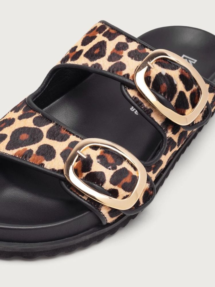  LEOPARD