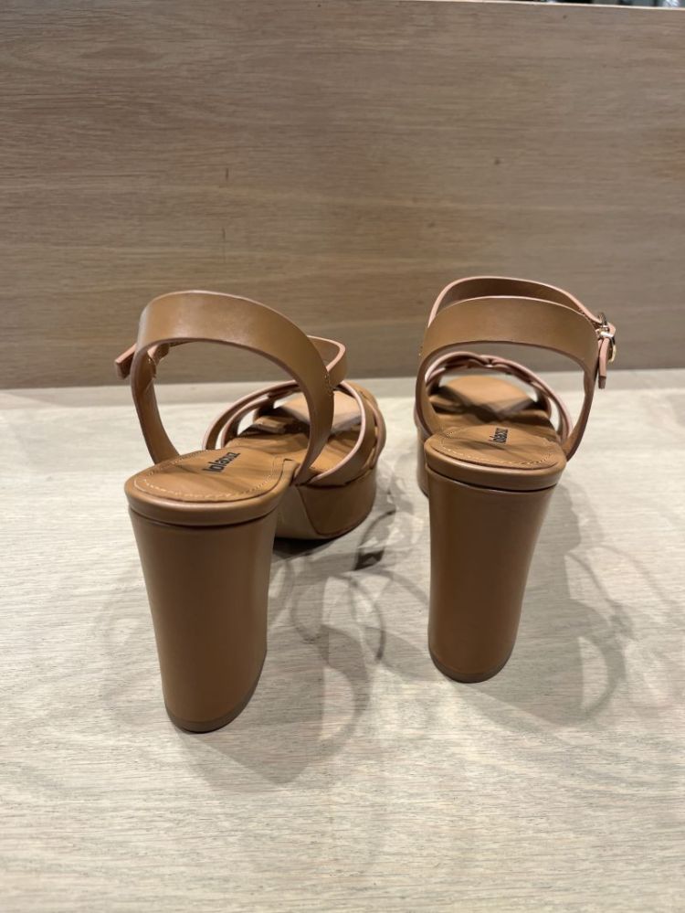  TAN