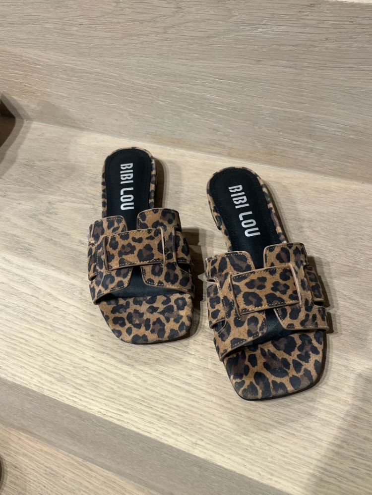  LEOPARD