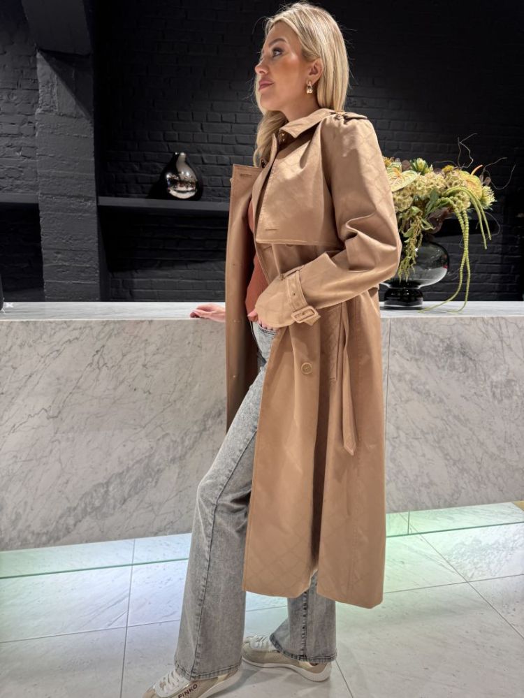  032 CAMEL