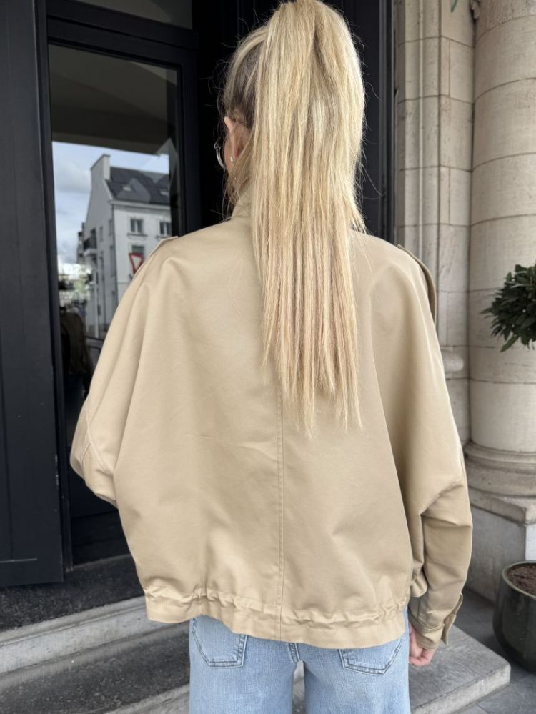  C65 BEIGE