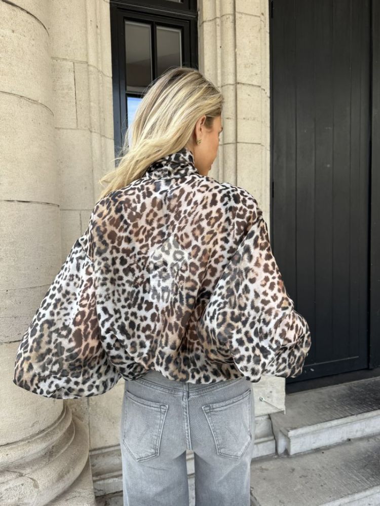  LEOPARD
