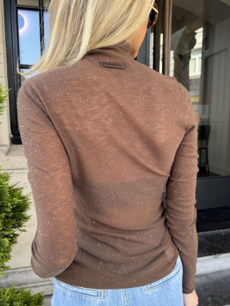  L73 BROWN