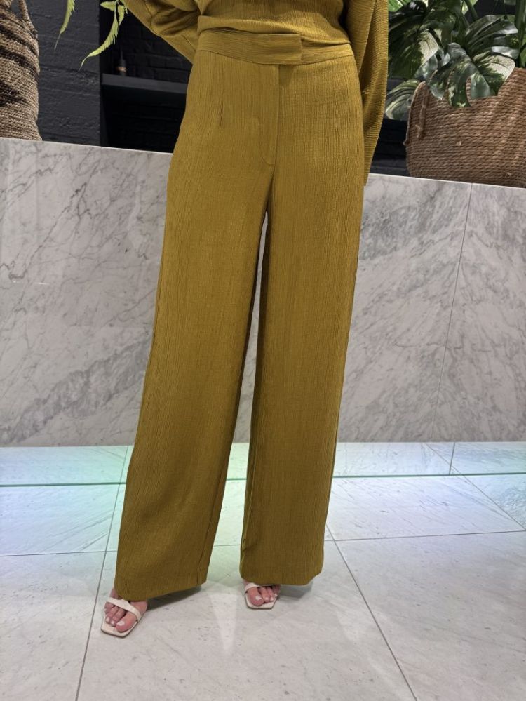  OLIVE