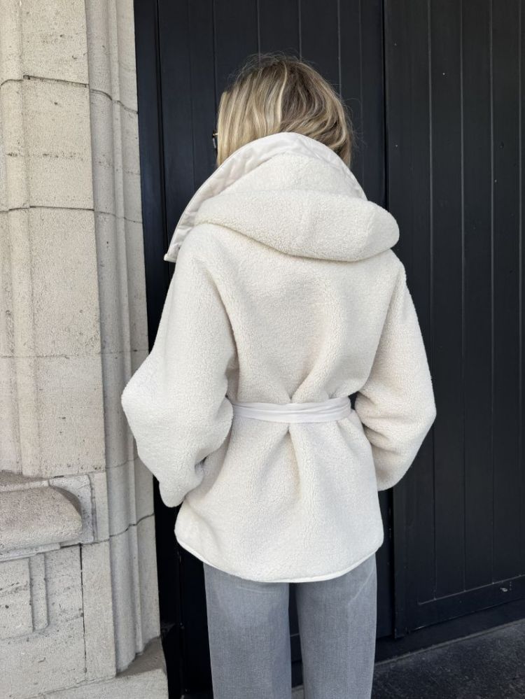  C00 SWAN WHITE