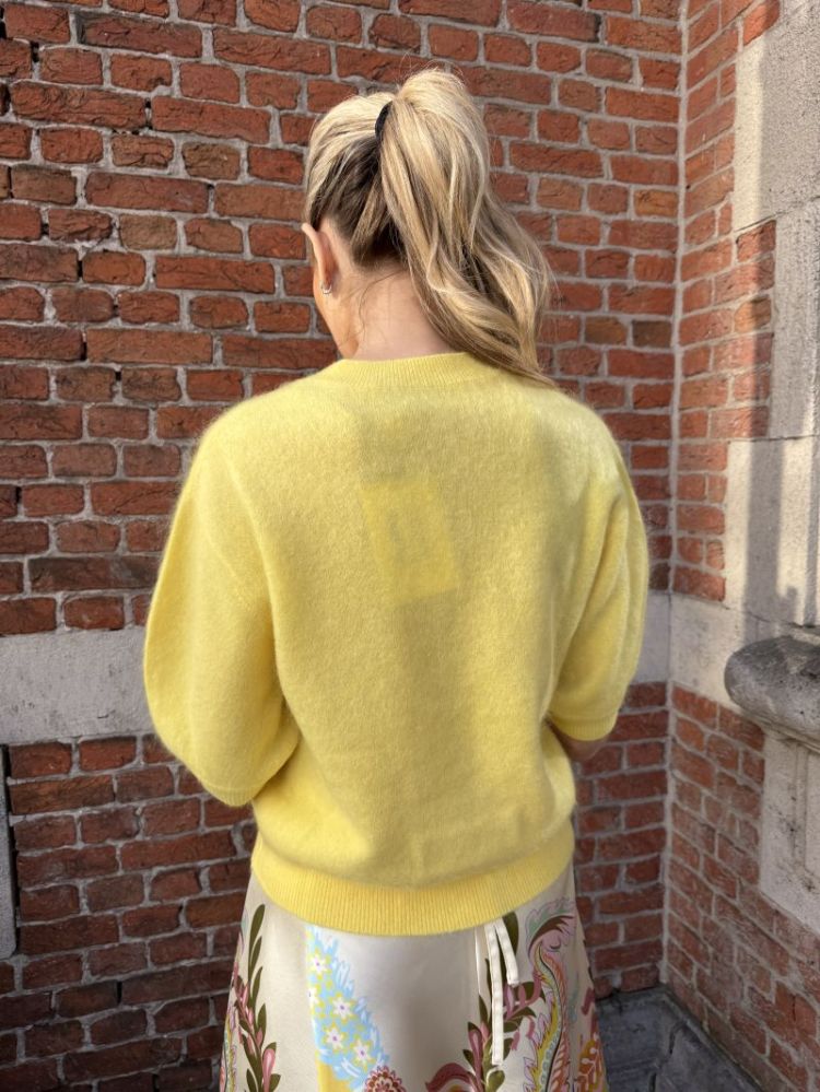  YOLK