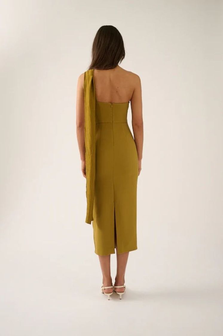  OLIVE